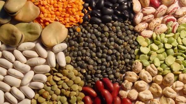 فوائد مذهلة عند تناول طبق واحد منها..هل الفاصوليا تطيل العمر؟