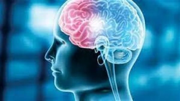 تحذير خطير.. هذا الطعام يدمر الدماغ في شهر