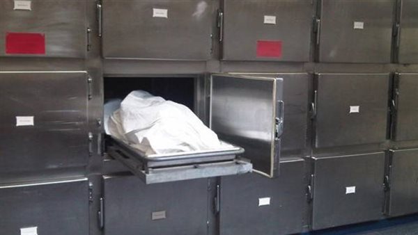 ملبوسة من الجن.. تفاصيل مثيرة في ذبح عروس بعد زفافها بيومين بالدقهلية