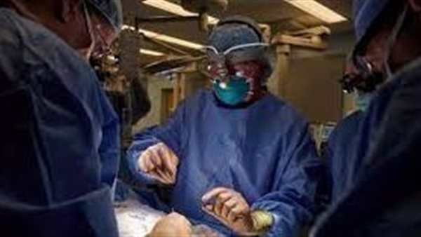عملية غريبة أعادتها بعد الوفاة الدماغية.. سيدة تكمل حياتها بكلية خنزير