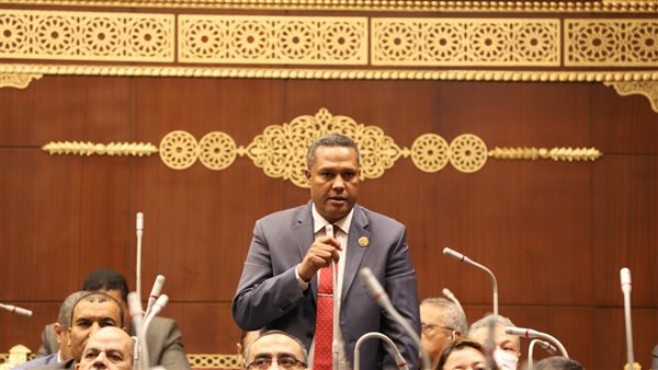 النائب محمد حمزه امام الجلسة العامة لمجلس الشيوخ: نحتفل بأسترداد الأرض وتطهيرها من الارهابيين وتنميتها