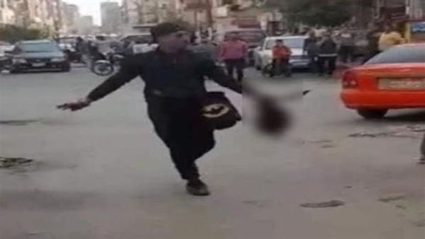 المتهم استخدم ساطور وهدد المارة بسلاح ناري..تفاصيل صادمة جديدة في جريمة الإسماعيلية | فيديو