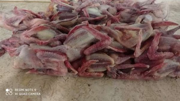 قدم أكتر من 1000 «حمامة فاسدة» للزبائن.. التحقيق مع صاحب مطعم شهير بالقاهرة 