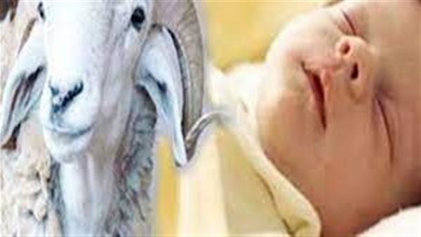 الإفتاء تجيب..هل العقيقة دين في رقبة المتوفي إذا لم يفعلها؟ 