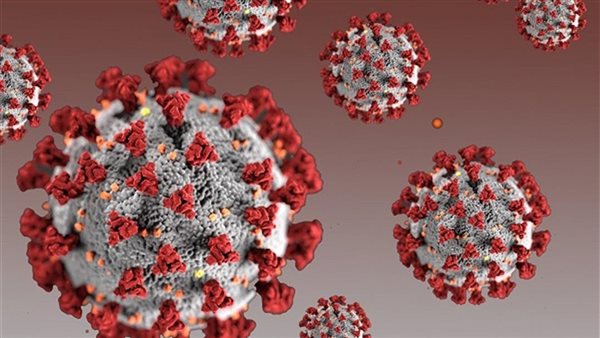 بيان مفاجيء..الصحة تعلن إصابات ووفيات كورونا اليوم