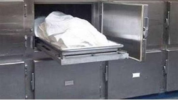 بحث عنها 4 سنوات.. شاب ينهي حياة شقيقته بالمرج بعد اكتشاف حملها