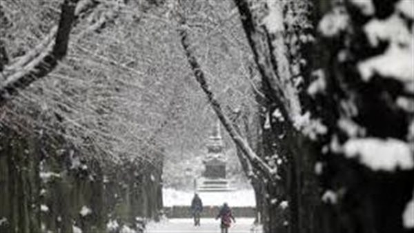 برد قارس وموجات صقيع.. الزراعة تصدم الجميع بشأن شتاء العام الحالي | فيديو