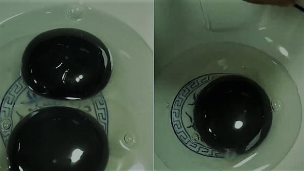 ظاهرة غريبة لا ينبغي أن تحدث.. إوزة تضع بيضًا صفاره باللون الأسود تحير العلماء | فيديو