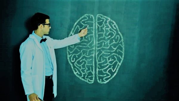 أخصائي تغذية تحذر.. 4 أطعمة تضعف الذاكرة وتشتت الانتباه