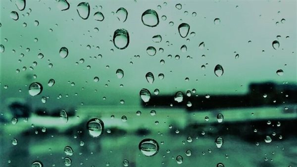 «إيه الحشرة دي؟»..قطرات المطر تحت الميكروسكوب تكشف شيئًا صادمًا | فيديو