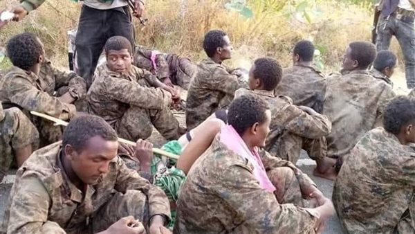 على أعتاب أديس أبابا.. مشهد مخز لأسرى الجيش الإثيوبي على يد التيجراي|فيديو