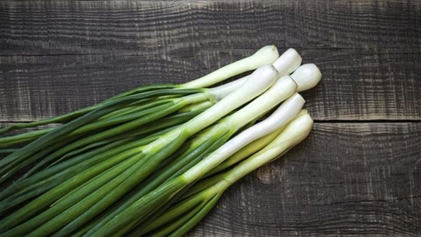  له فوائد سحرية..محشي عروق البصل «تريند» جديد على «فيس بوك»