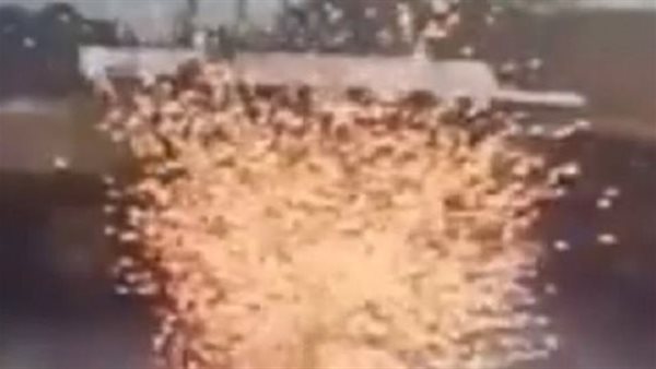 نجا بأعجوبة.. لحظات تحبس الأنفاس ترصد إصابة رجل بصاعقة | فيديو