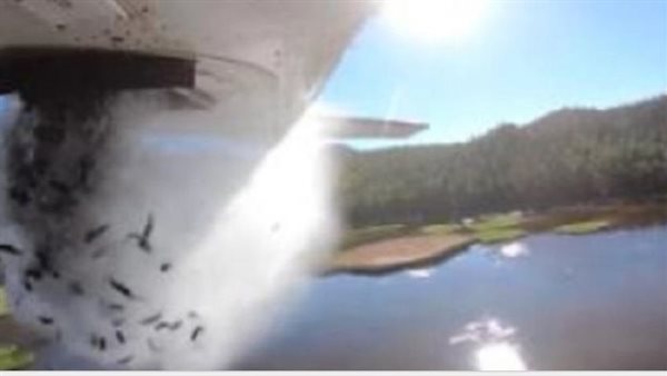 ظاهرة نادرة الحدوث.. مدينة تمطر سماؤها أسماكا صغيرة | فيديو