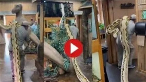 شاهد.. رجل يحمل ثعبانا ضخما على كتفيه ومفاجأة في نهاية المقطع | فيديو