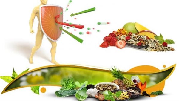 لا تتجاهلها.. 5 أطعمة تساعد في رفع المناعة سريعا