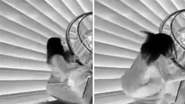 وقعة شديدة.. لحظة سقوط وفاء الكيلاني قبل توزيع جوائز صناع الترفيه | فيديو