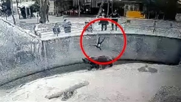 صدمة وذهول.. أم تلقي طفلتها عن قصد في حظيرة دب ضخم 