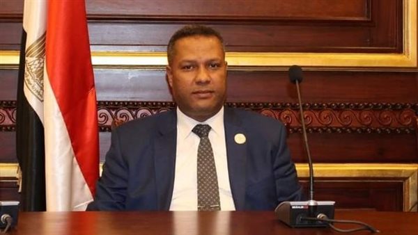النائب محمد حمزة: رفع الحد الأدنى للاجور أحد هدايا الرئيس للمصريين فى العام الجديد