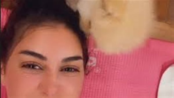 مابيكبرش وسعره صادم..11 معلومة عن كلب ياسمين صبري | شاهد