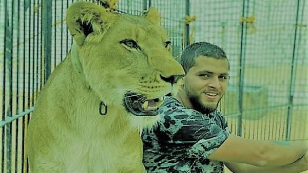 لقطات لا تصدق..أسد يهاجم أشرف الحلو دفاعًا عن حبيبته | فيديو