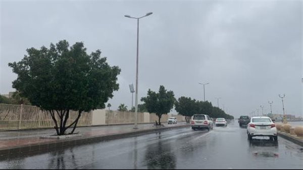 تقلبات جوية جديدة.. حالة الطقس غدا الجمعة 11-2-2022 