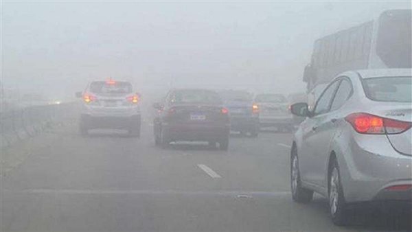 أمطار وشبورة وصقيع.. حالة الطقس غدا الجمعة 21-1-2022 