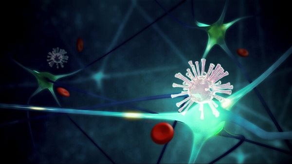 يختبئ بالدماغ.. تفاصيل صادمة عن اكتشاف فيروس قاتل ينتقل بالعدوى