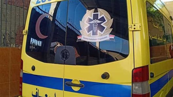 يتهمه بالتحرش بزوجته.. تفاصيل صادمة في اعتداء شاب على والده بالمنوفية