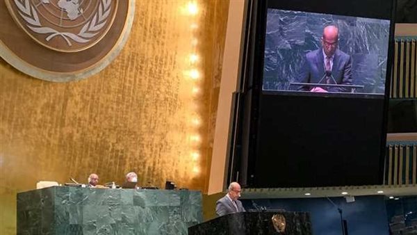 بيان رسمي..مصر تعلن 6 أسباب دفعتها للتصويت ضد روسيا في الأمم المتحدة