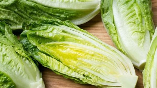 يتسبب في اضطرابات بالمعدة..تحذير عاجل من تناول الخس بإفراط في 3 حالات