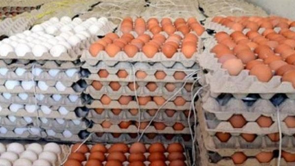 بعد حديث عمرو أديب.. ما هو البيض الأورجانيك والفرق بينه وبين العادي؟