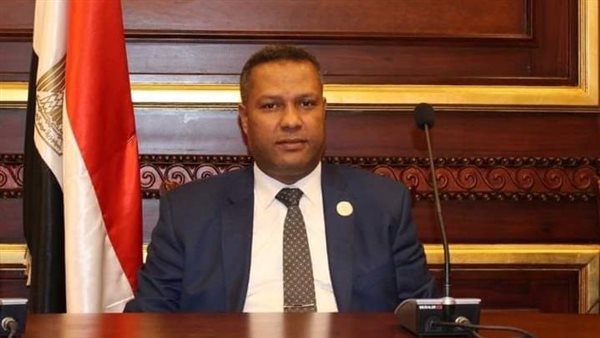 حمزة مشيدً بقرارات الرئيس السيسي: أكد أنه قريب جدًا من المواطنين وحريص على رفع المستوى المعيشى للمصريين