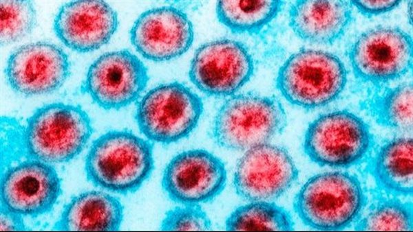 ينتقل بالبعوض.. فيروس غامض جديد يهدد العالم