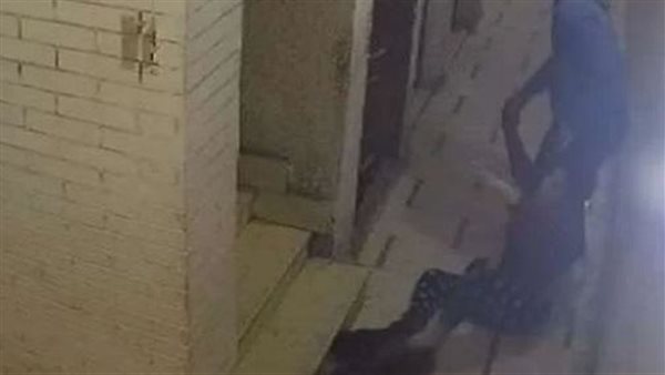 خطفها في السيارة وهرب.. سائق يسحل طليقته ويعتدي عليها بالضرب بالهرم | شاهد