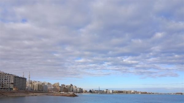 هل لاحظتها؟.. سر انتشار رائحة الفل والياسمين في سماء مصر