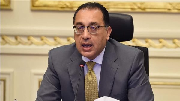 هل فرضت رسوم؟..بيان عاجل من الحكومة بشأن صادرات الفراولة المجمدة