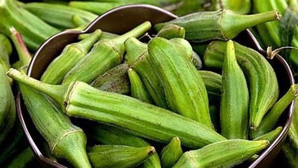 هذا سبب قلة المعروض..حقيقة وصول سعر البامية إلى 200 جنيه للكيلو