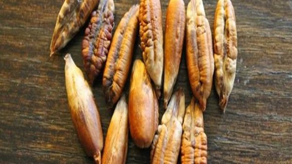 مفاجأة لن تتخيلها.. ماذا يحدث إذا أضفت نواة البلح إلى شوربة اللحمة؟