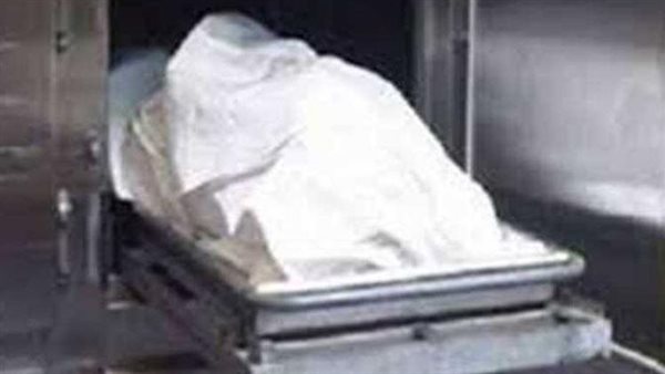 الجثة مدفونة من 4 شهور.. كيف حلت المباحث لغز اختفاء ربة منزل بالإسكندرية؟