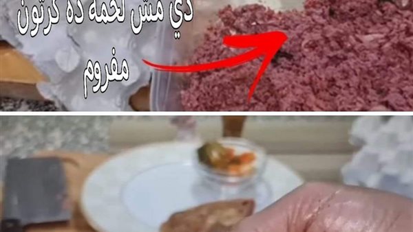 فيديو صادم.. حواوشي مصنوع من كراتين البيض وطبيبة تحذر | شاهد