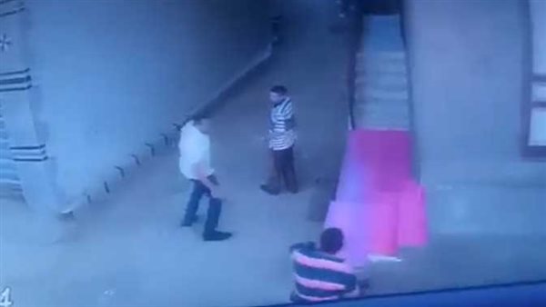 لقطات صادمة..بلطجي يعتدي على مُسن بالدقهلية بسلاح أبيض | فيديو