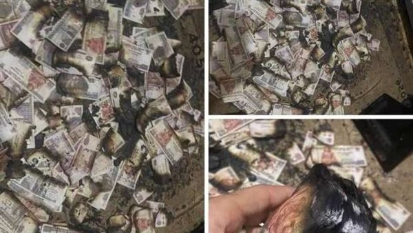 زوجة كارم ولعت في فلوسه.. ما أفضل الأماكن لإخفاء الأموال في المنزل؟