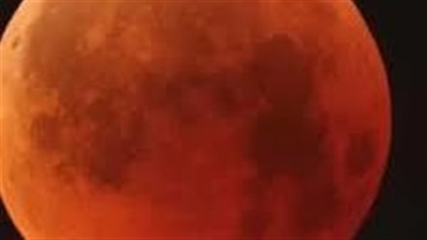 الشيخ محمد أبوبكر: خسوف القمر الدموي من علامات الساعة | فيديو