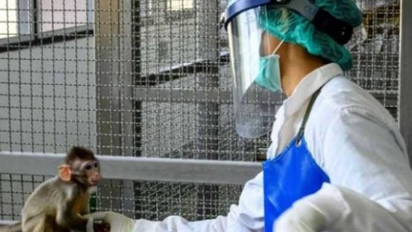 هل يتفشى في الحيوانات الأليفة؟.. تحذير جديد من جدري القرود