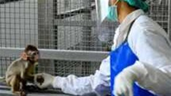 جدري القرود وإنفلونزا الطماطم.. لماذا عادت الفيروسات القديمة للانتشار؟