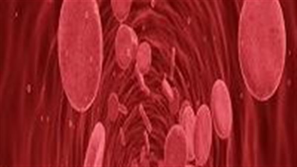 الدم الذهبي.. أندر فصيلة دم في العالم لا يمتلكها سوى 50 شخصا