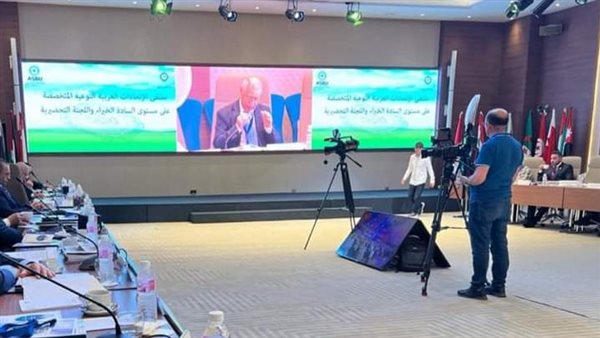 جامعة الدول العربية توافق على مقترح الاتحاد العربي للتنمية الاجتماعية بإنشاء صندوق للكوارث والأزمات