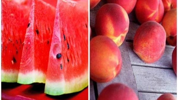 توضيح هام بشأن إنفلونزا الطماطم.. الزراعة تكشف حقيقة انتشار بطيخ وخوخ مسرطن 