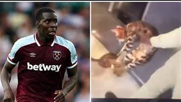 180 ساعة خدمة مجتمعية بسبب قطة.. لاعب كرة قدم يدفع ثمن إساءته للحيوان